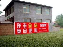 永修如何让墙体广告展现最大化效果