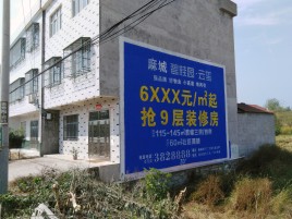 永修墙体广告质量分析
